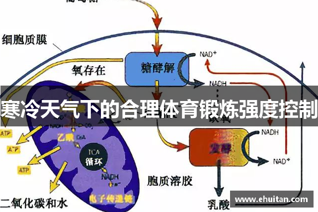 寒冷天气下的合理体育锻炼强度控制